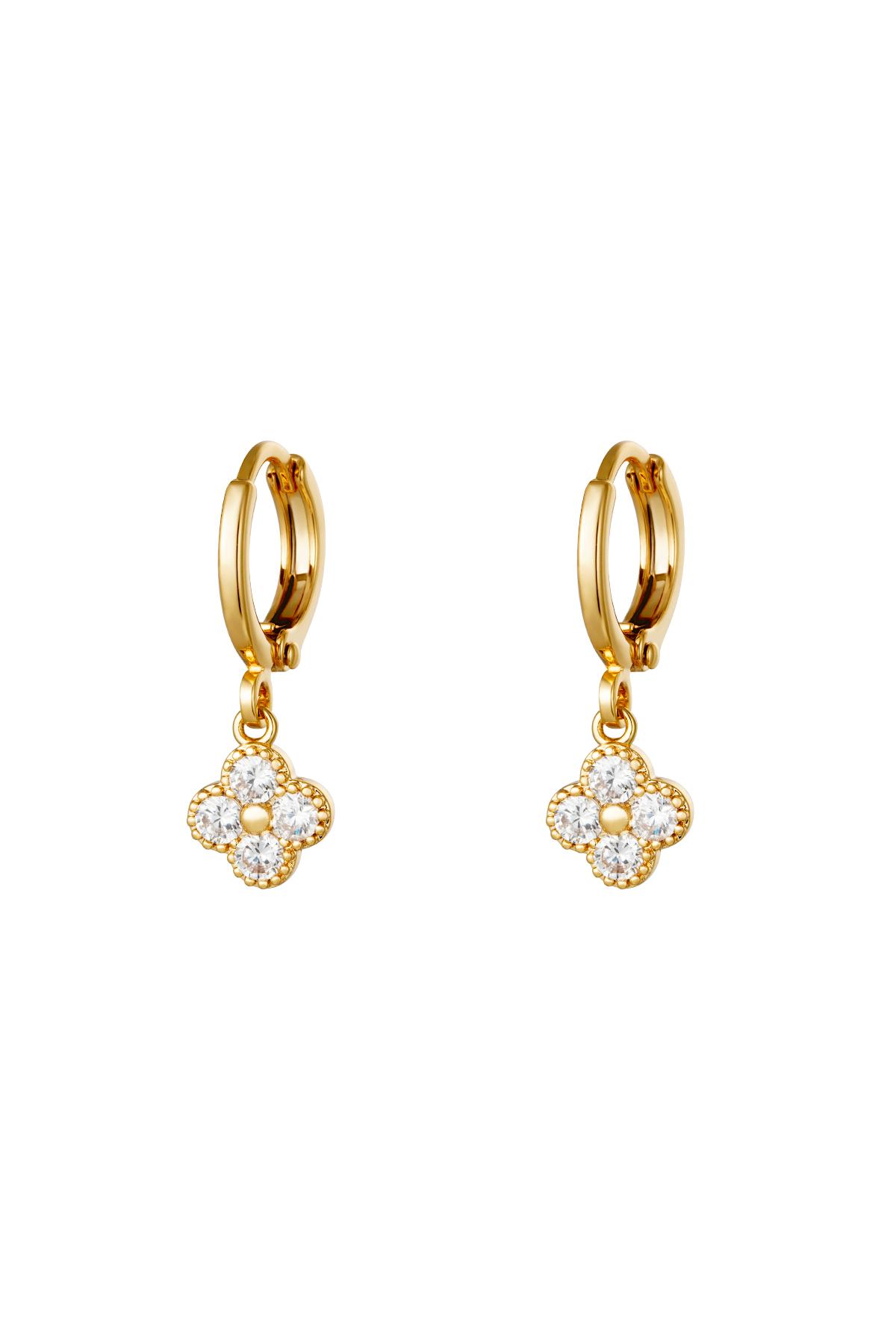 Gold Color Picture2