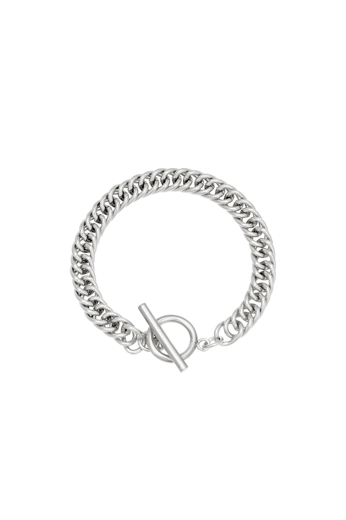 Silver Color Picture2