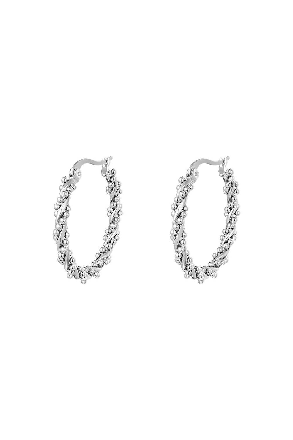 Stainless Steel Twisted Hoop Oorbellen Zilver