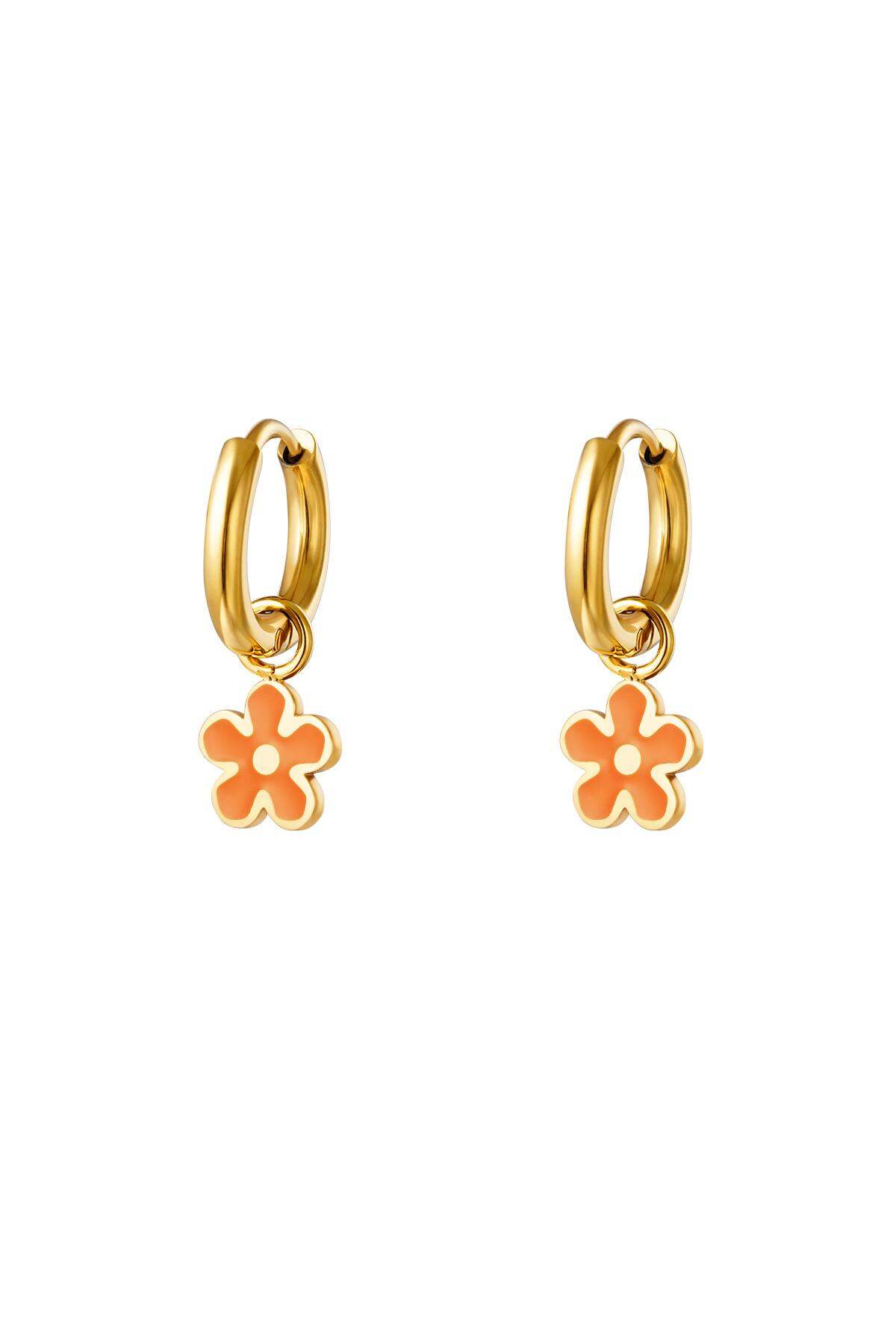 Orange Picture3