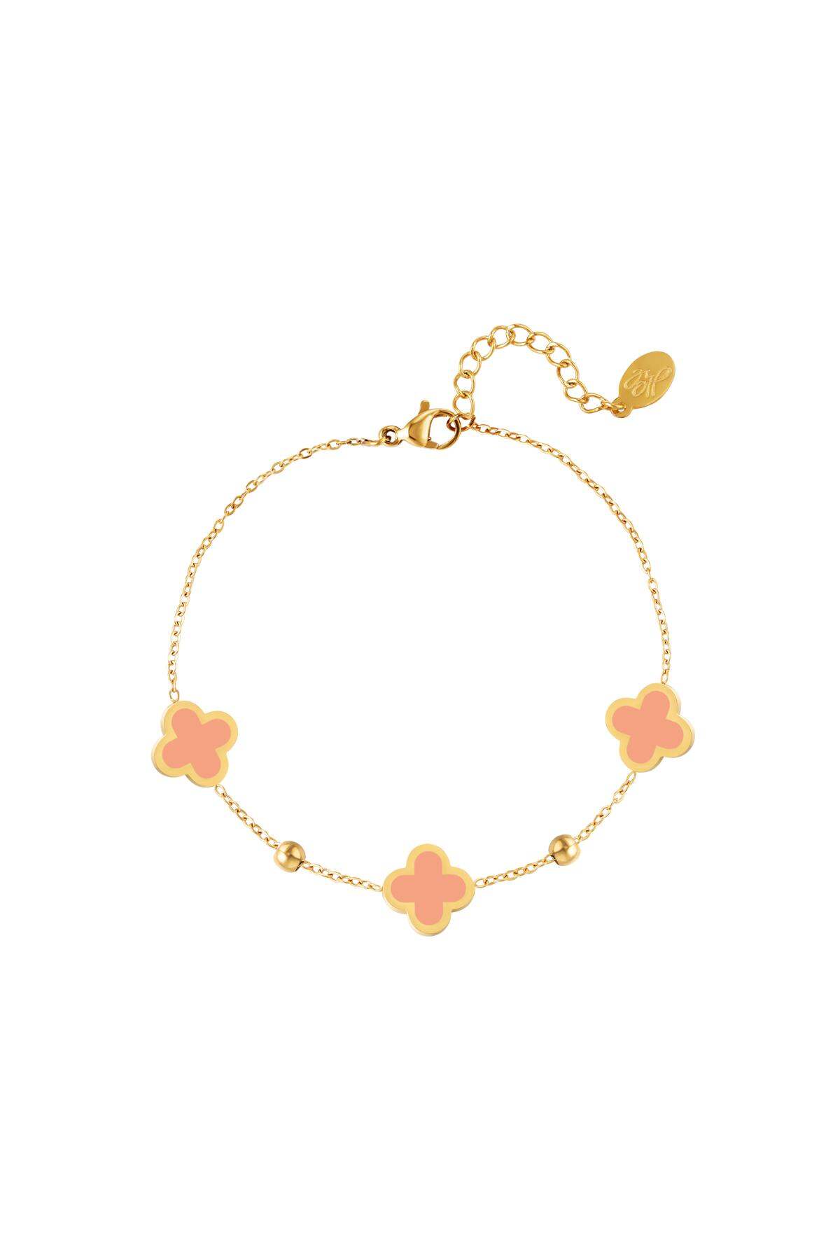 Rosa Imagen6