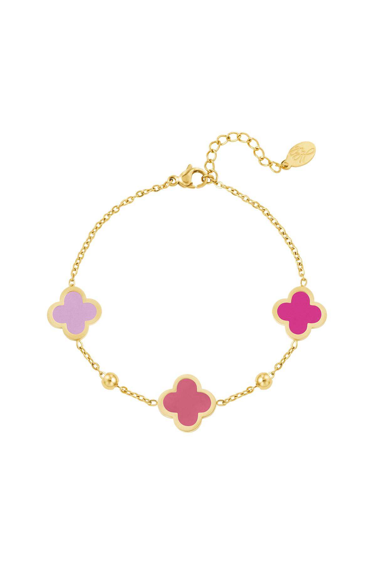 Rosa Imagen5
