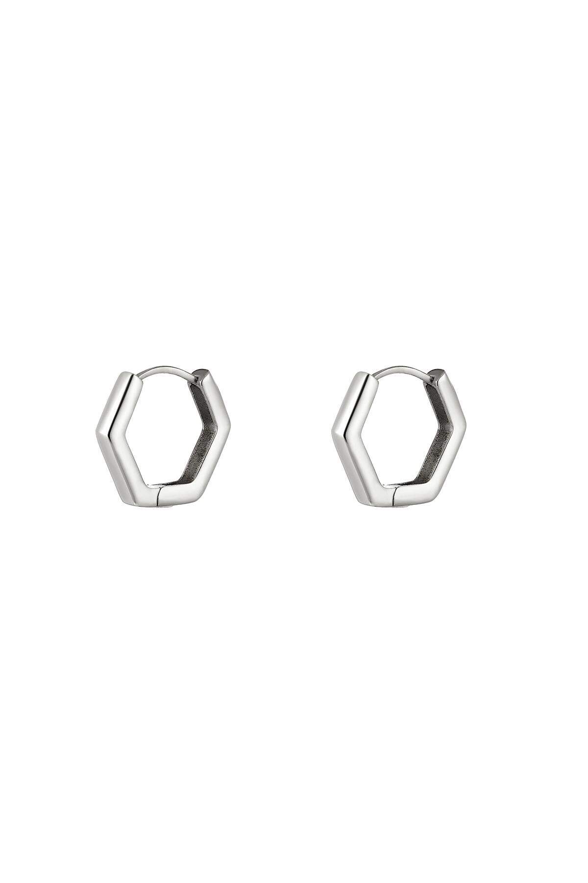 Orecchini in acciaio inossidabile Silver Color Stainless Steel 