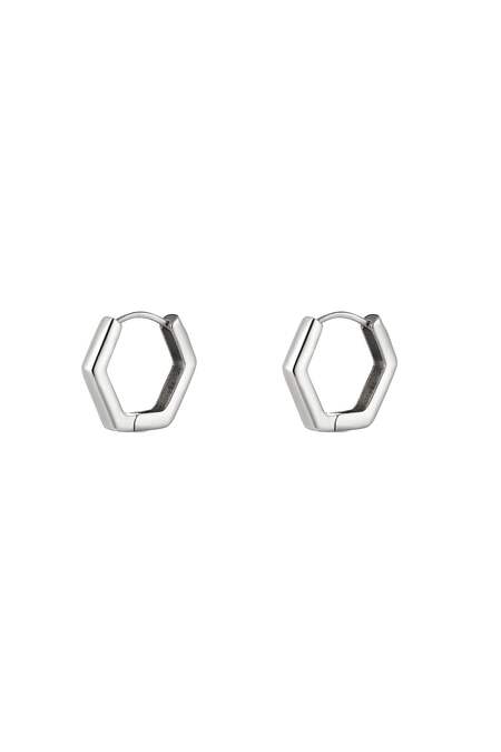 Roestvrij Stalen Oorbellen Zilver Stainless Steel