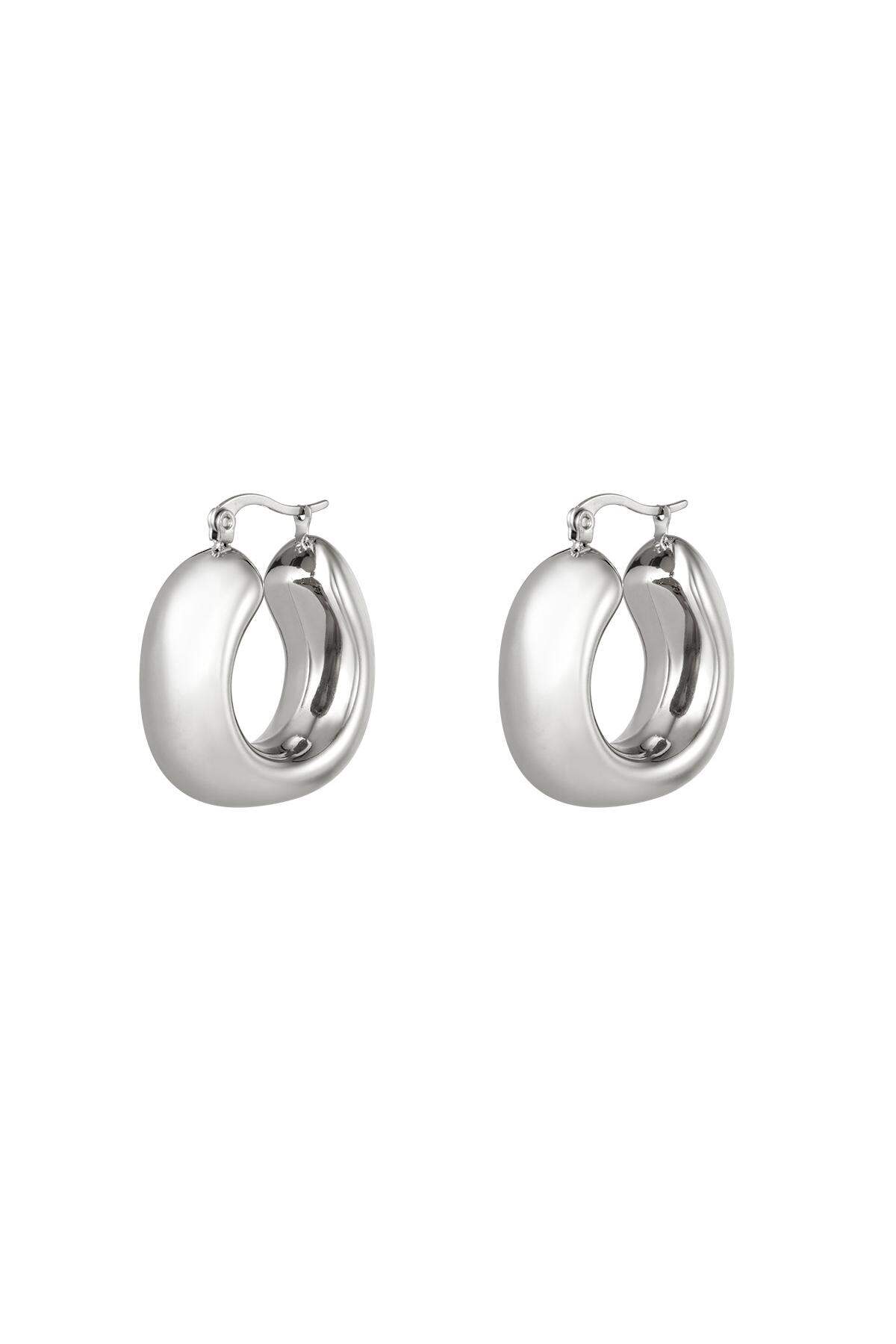 Silver Color Picture2