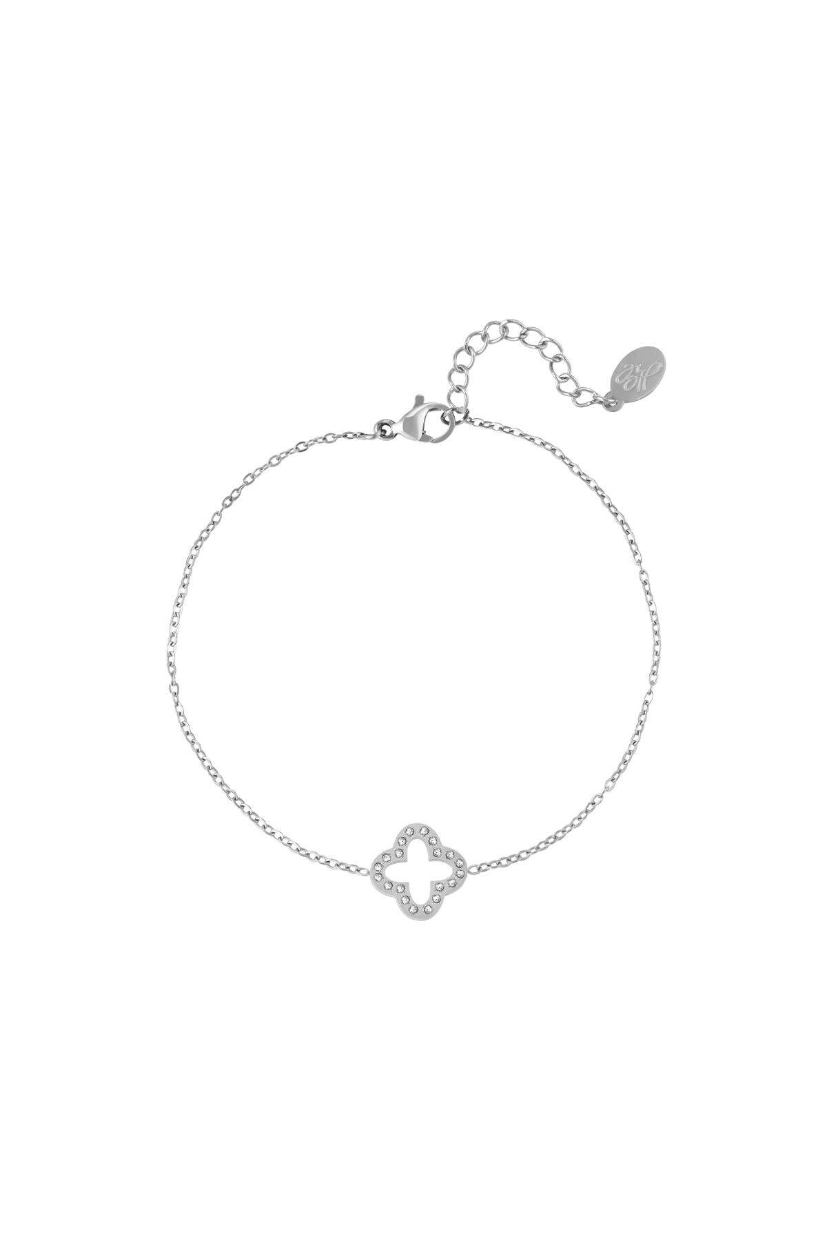 Silver Color Picture2