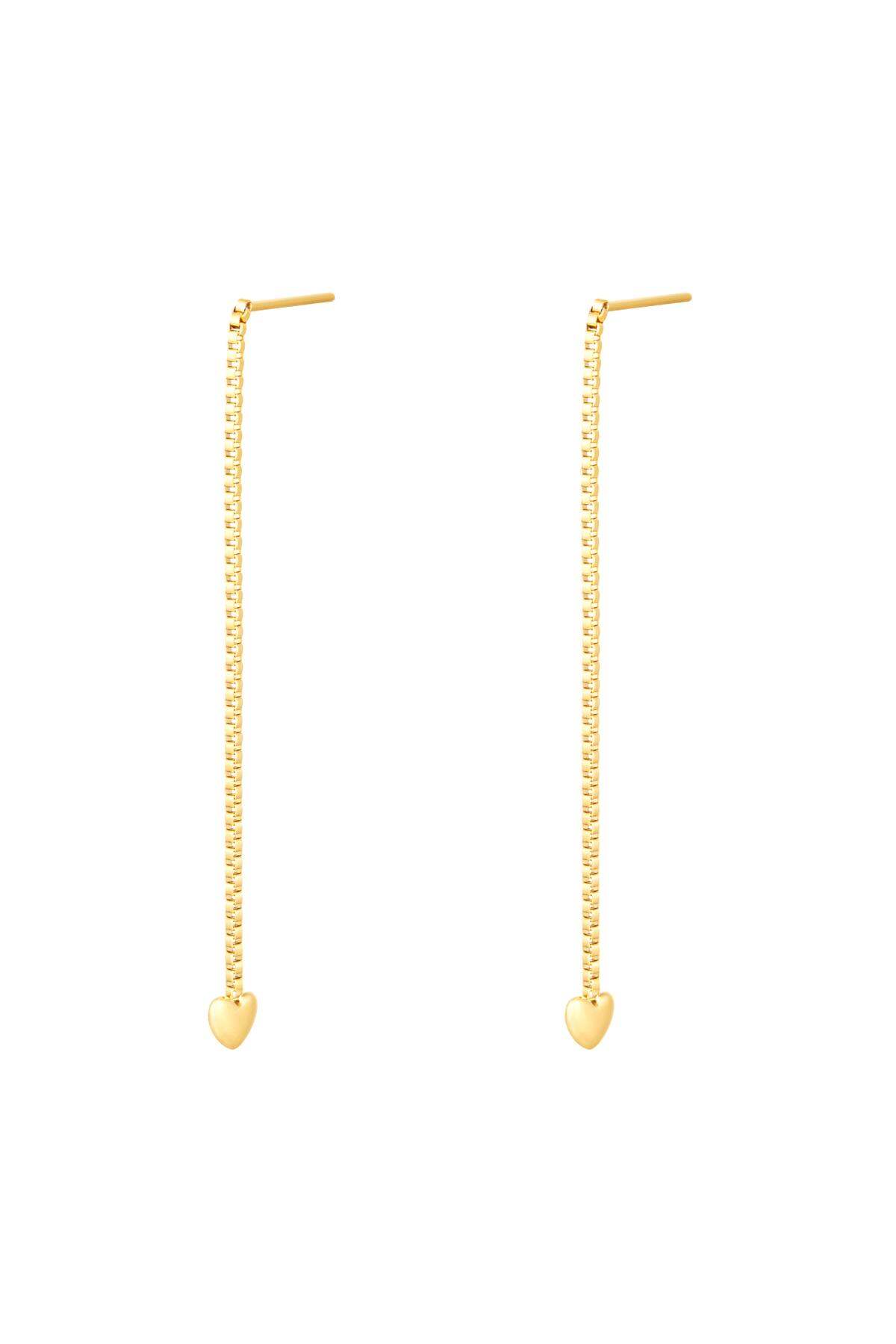 stainless steel earrings heart  h5 