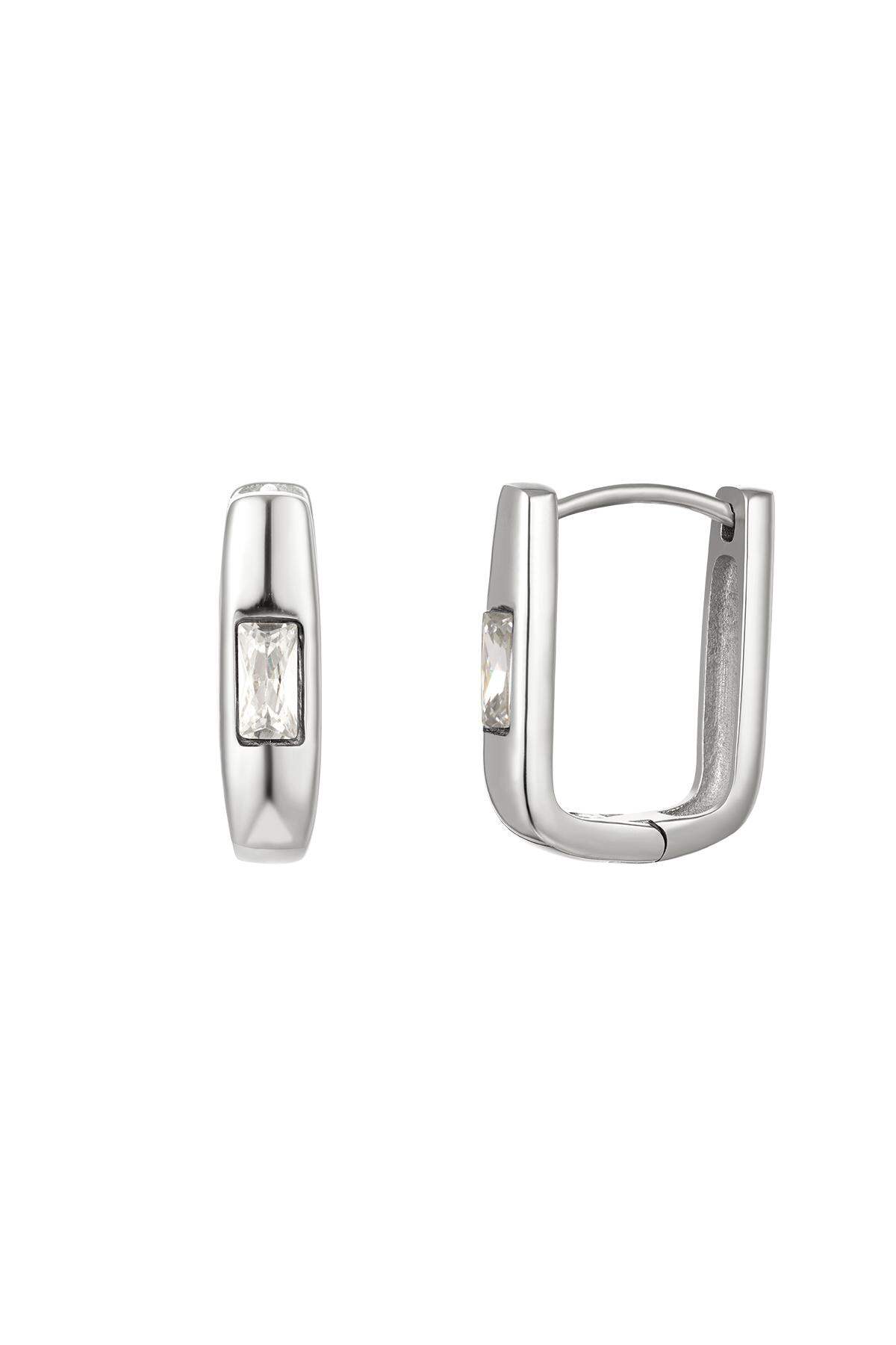 Silver Color Picture2
