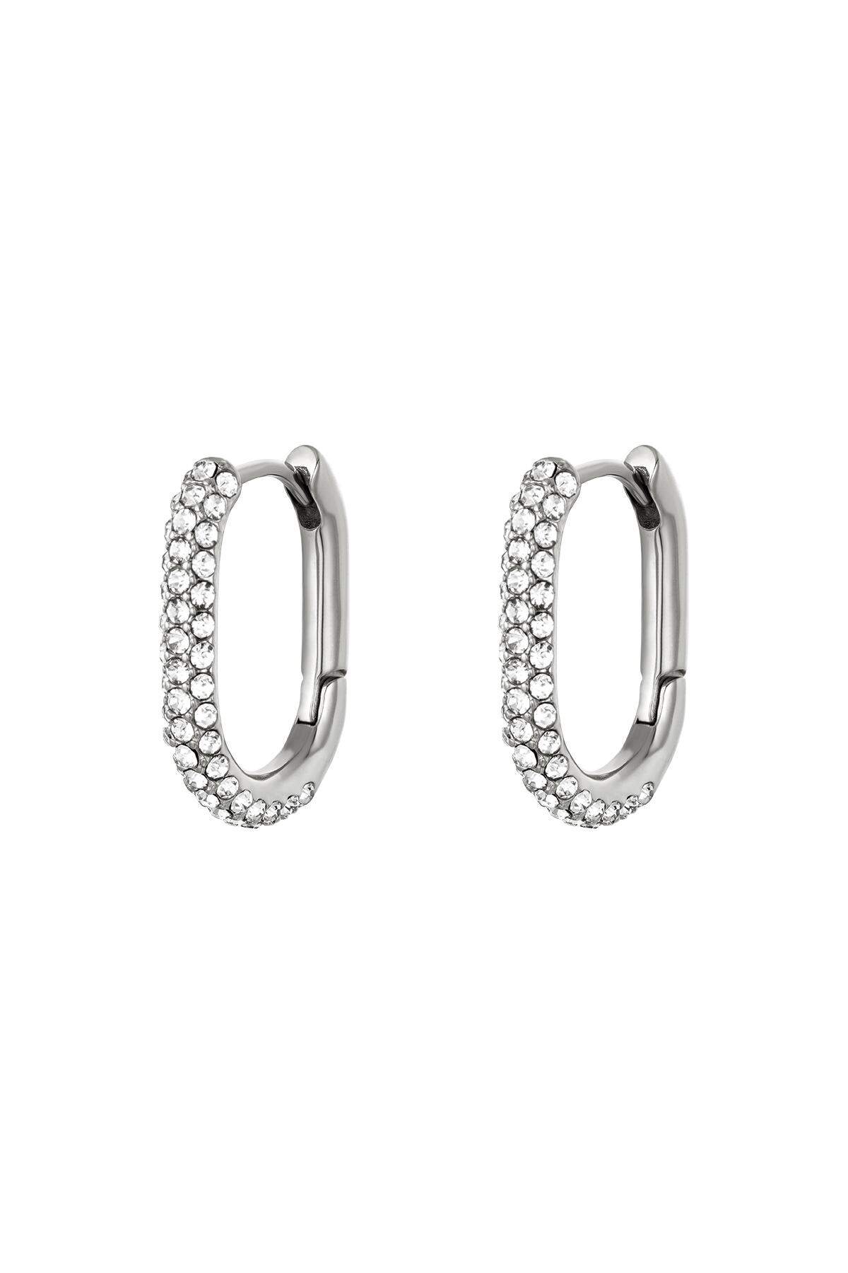 Orecchini zircone Silver Color Stainless Steel h5 