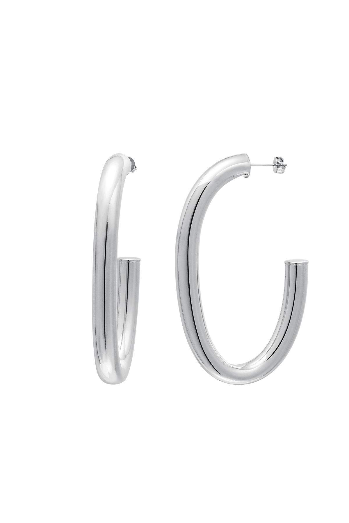 couleur argent Image2