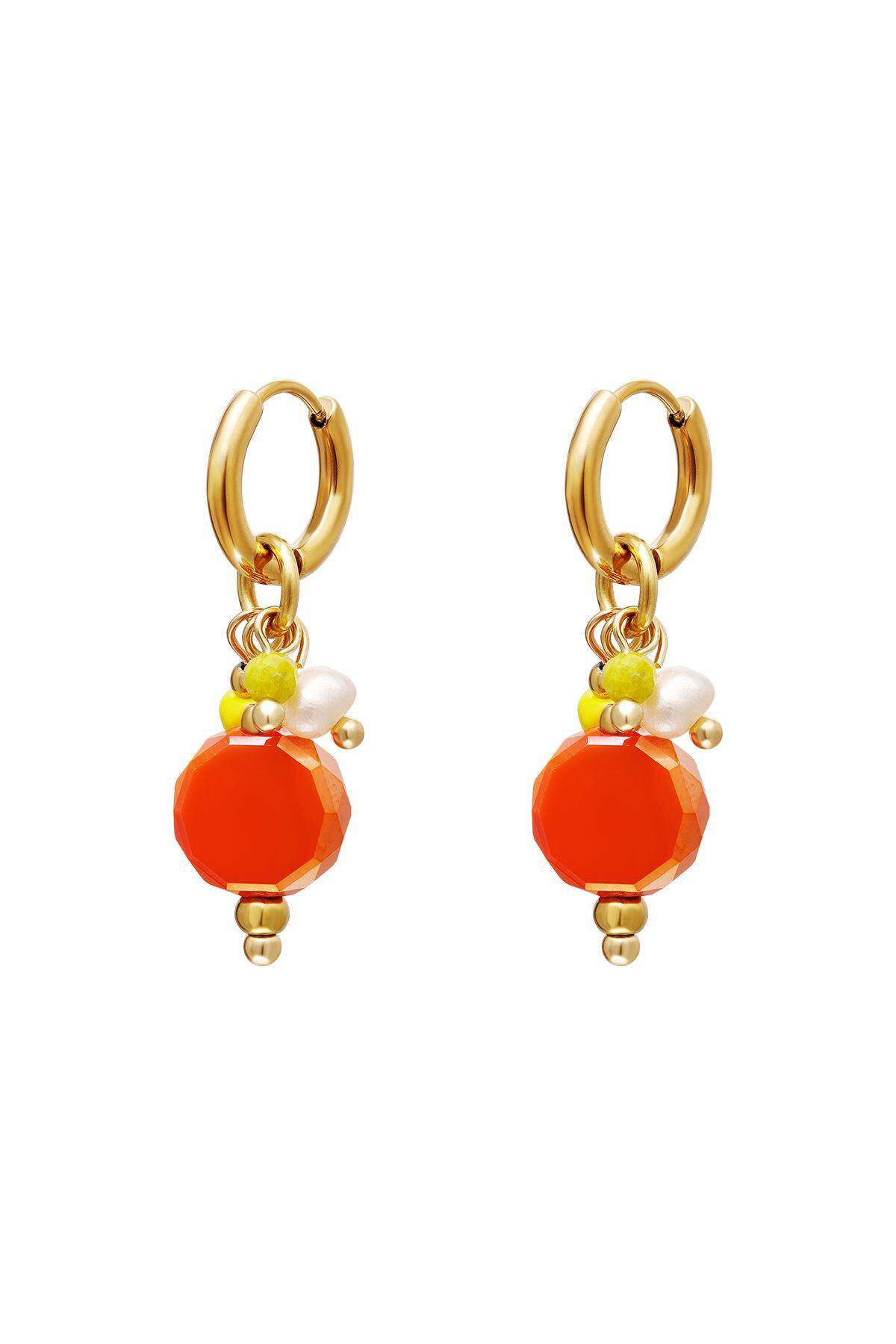 Orange Picture2
