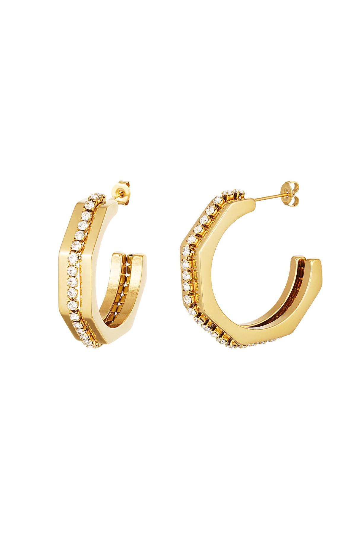 Orecchini con dettagli in zircone Gold Stainless Steel 2