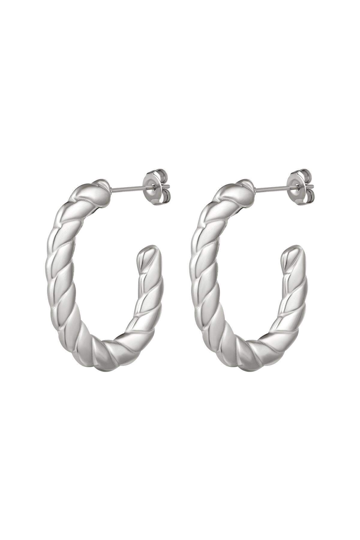 Grote roestvrijstalen oorbellen gedraaid Zilver Stainless Steel 