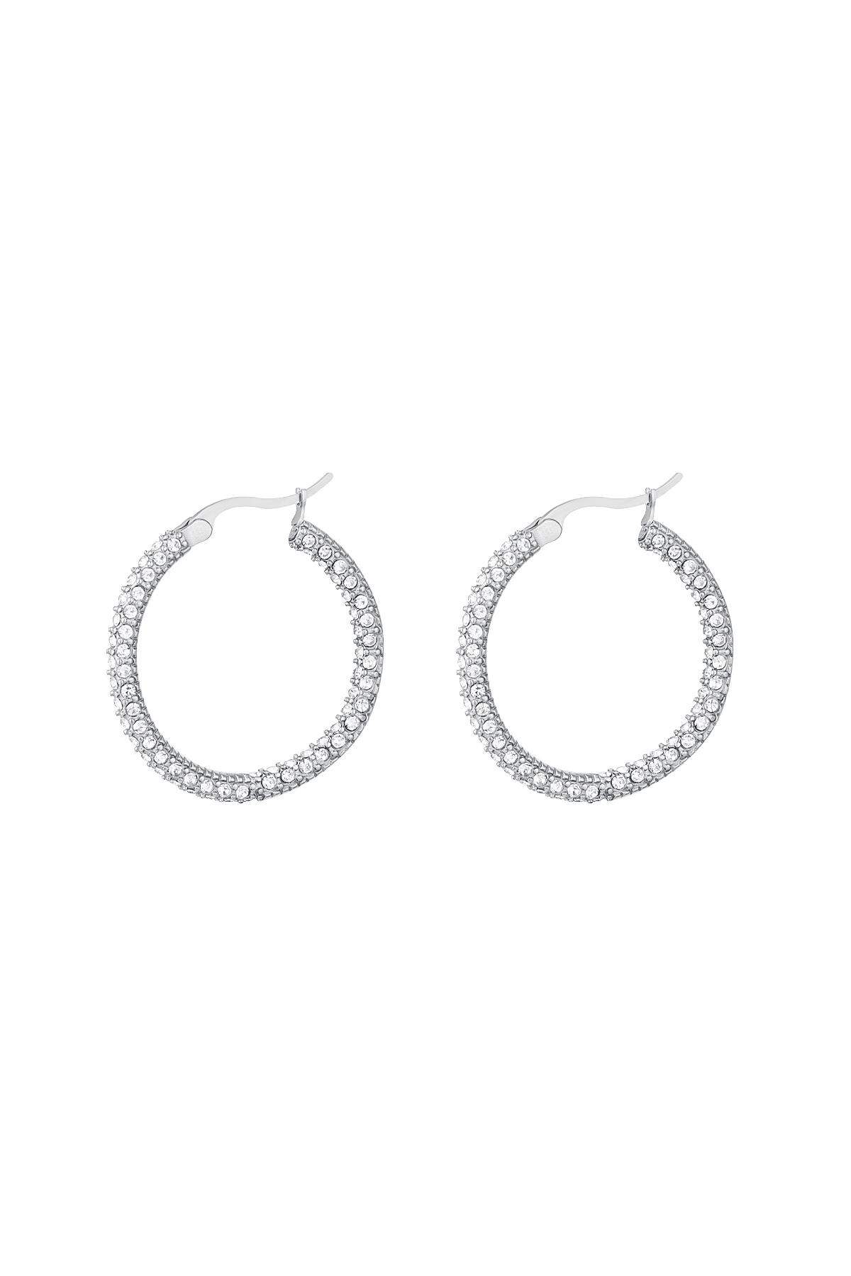 Orecchini tondi con zirconi - piccoli Silver Color Stainless Steel 