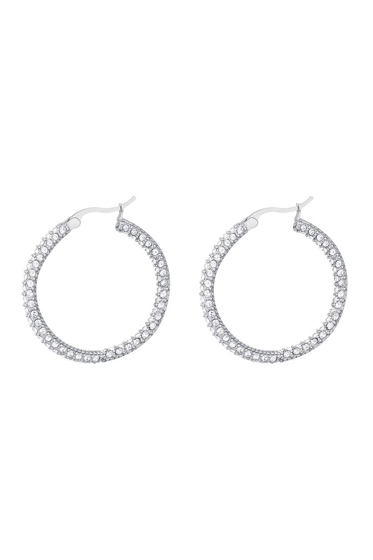 Orecchini tondi con zirconi - grandi Silver Color Stainless Steel 