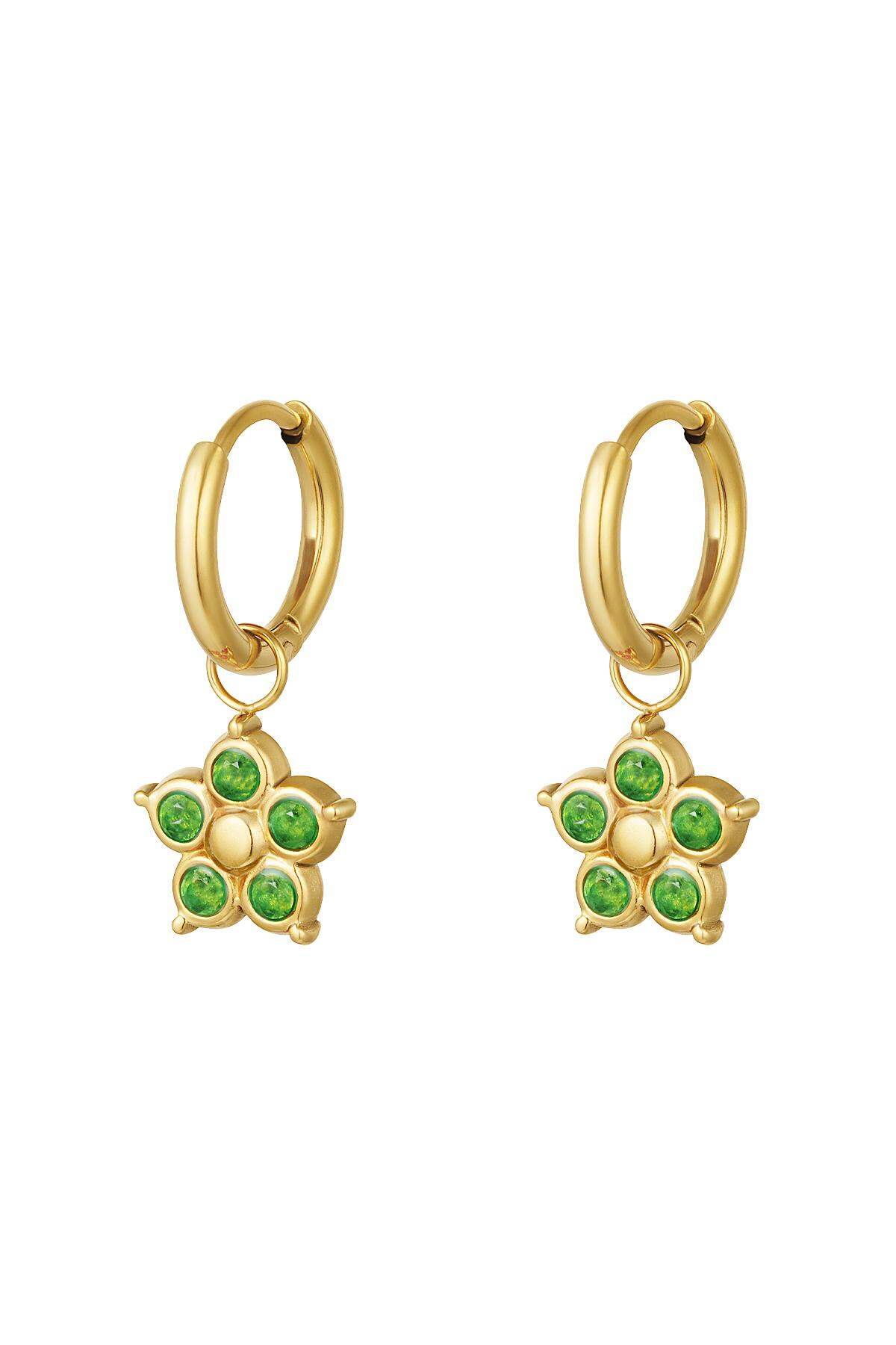Verde Immagine3