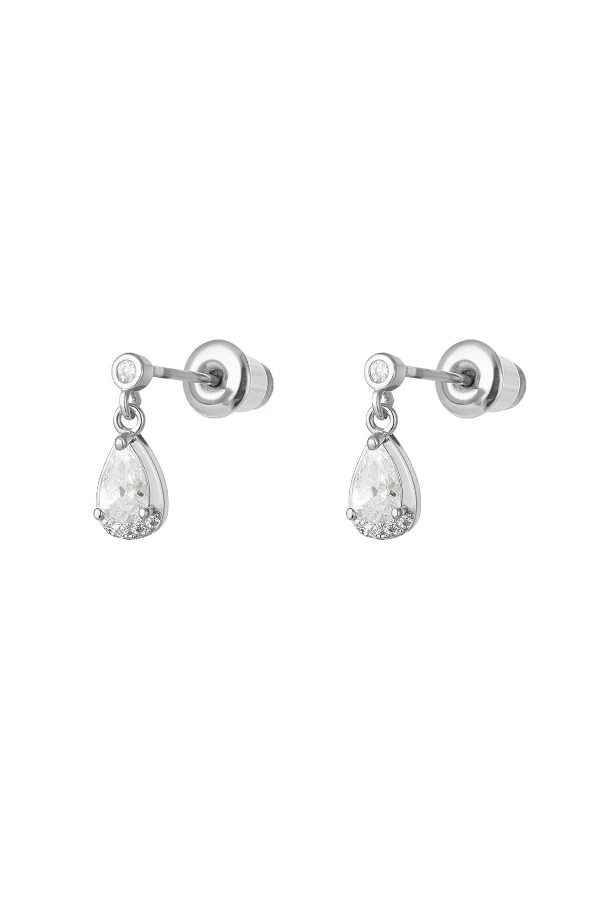 couleur argent Image2