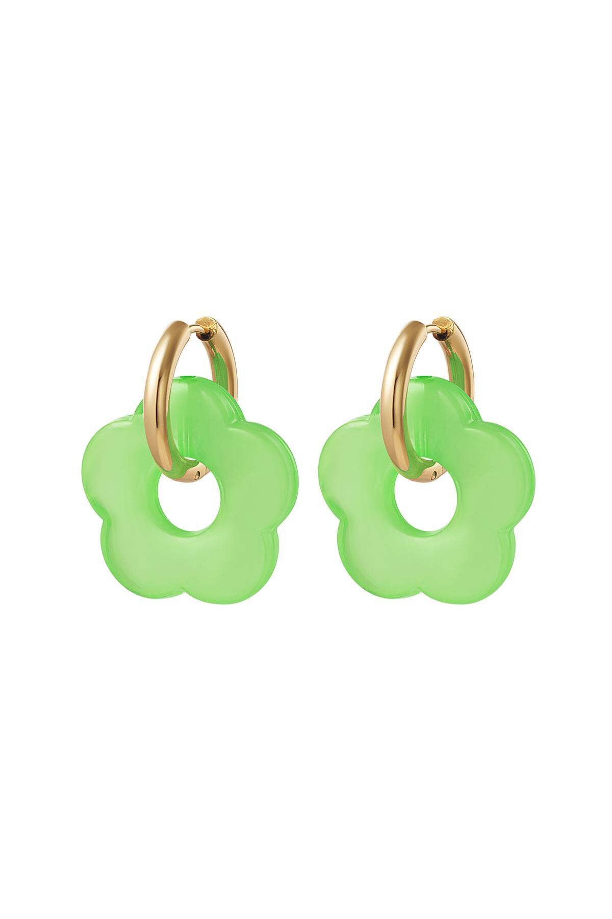 Verde Immagine3