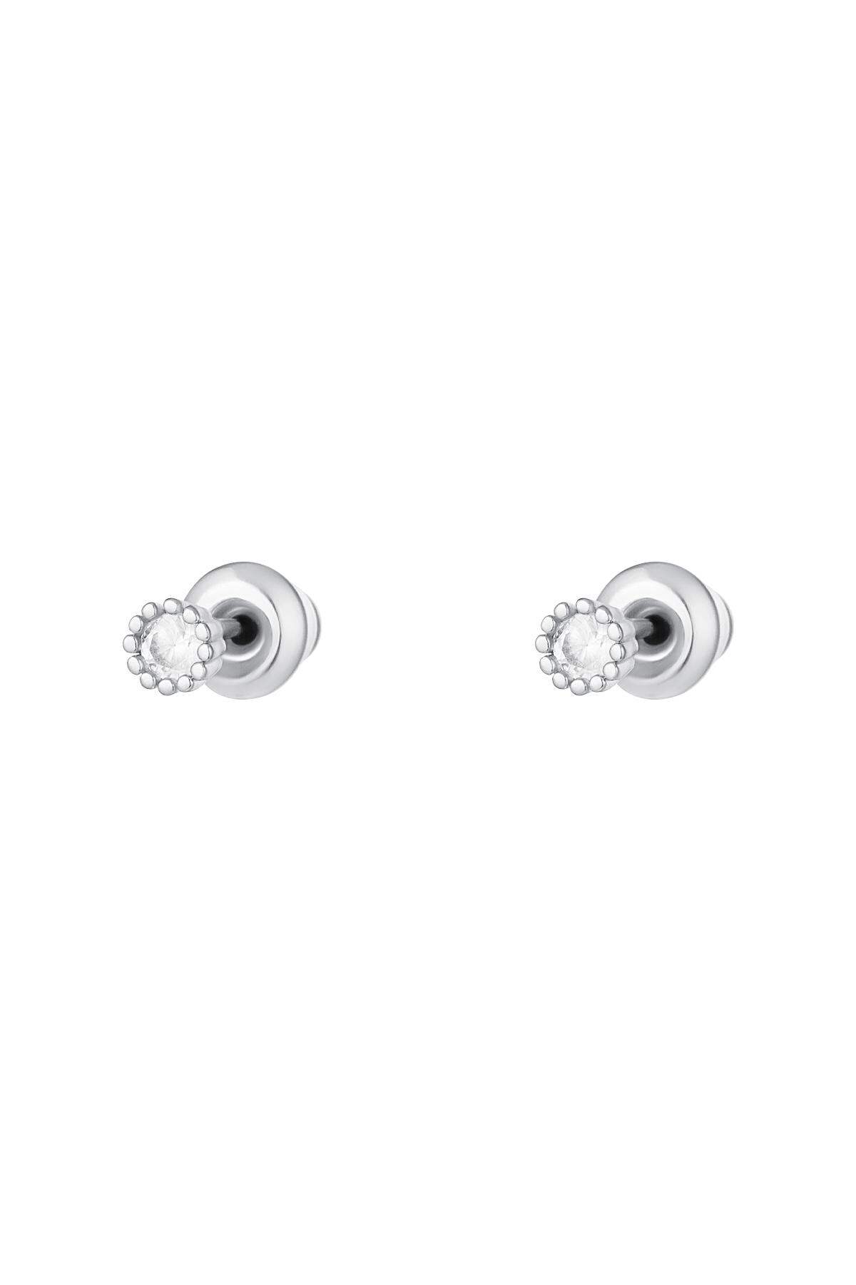 couleur argent Image6
