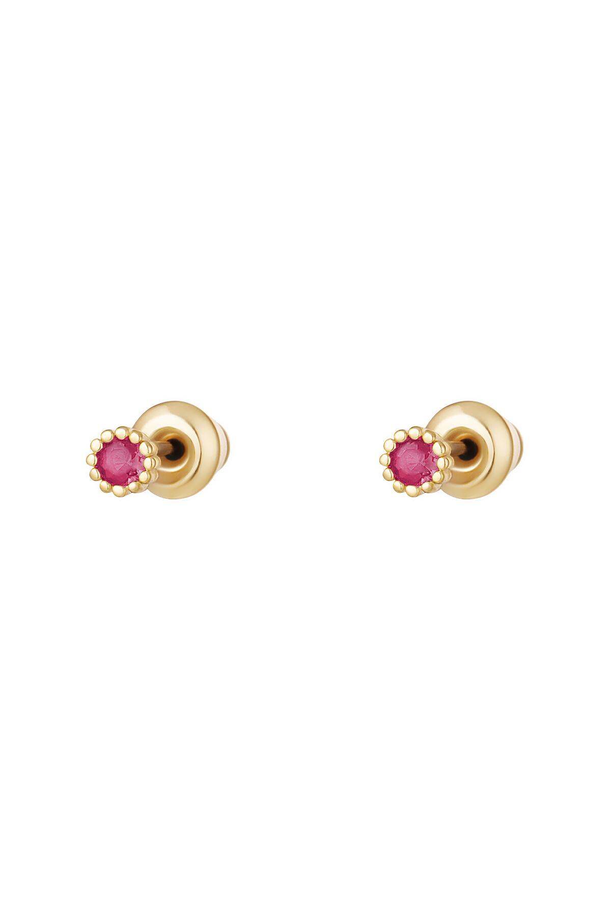 fuchsia Image4