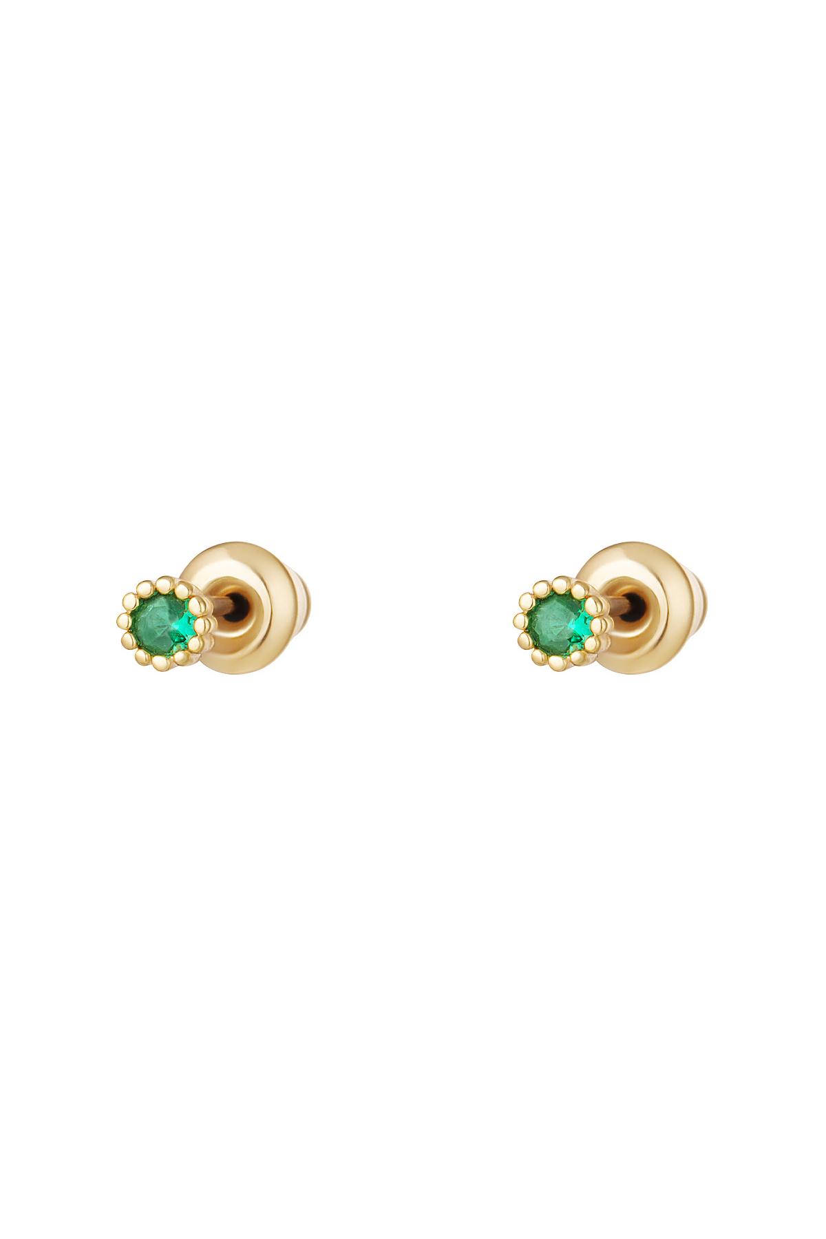 Vert Image5