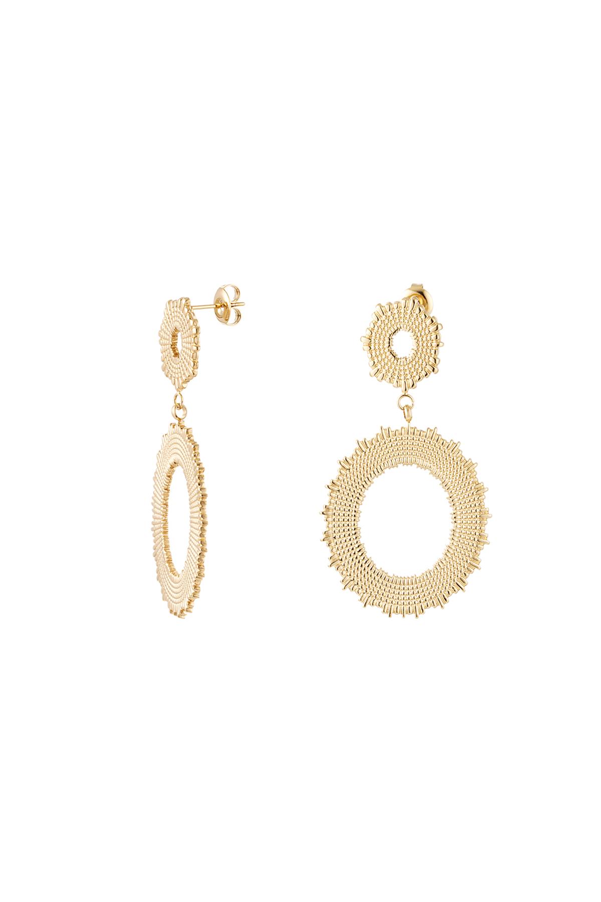 Earrings statement circles Gold Color Stainless Steel