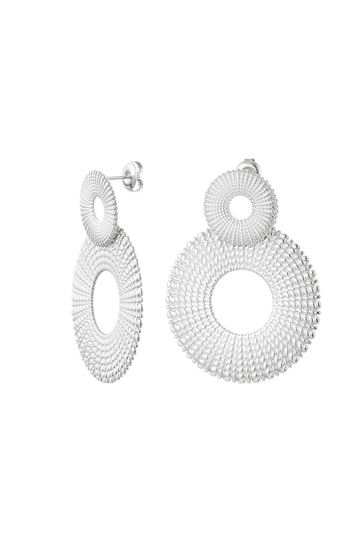 Statement oorbellen cirkels Zilver Stainless Steel h5 