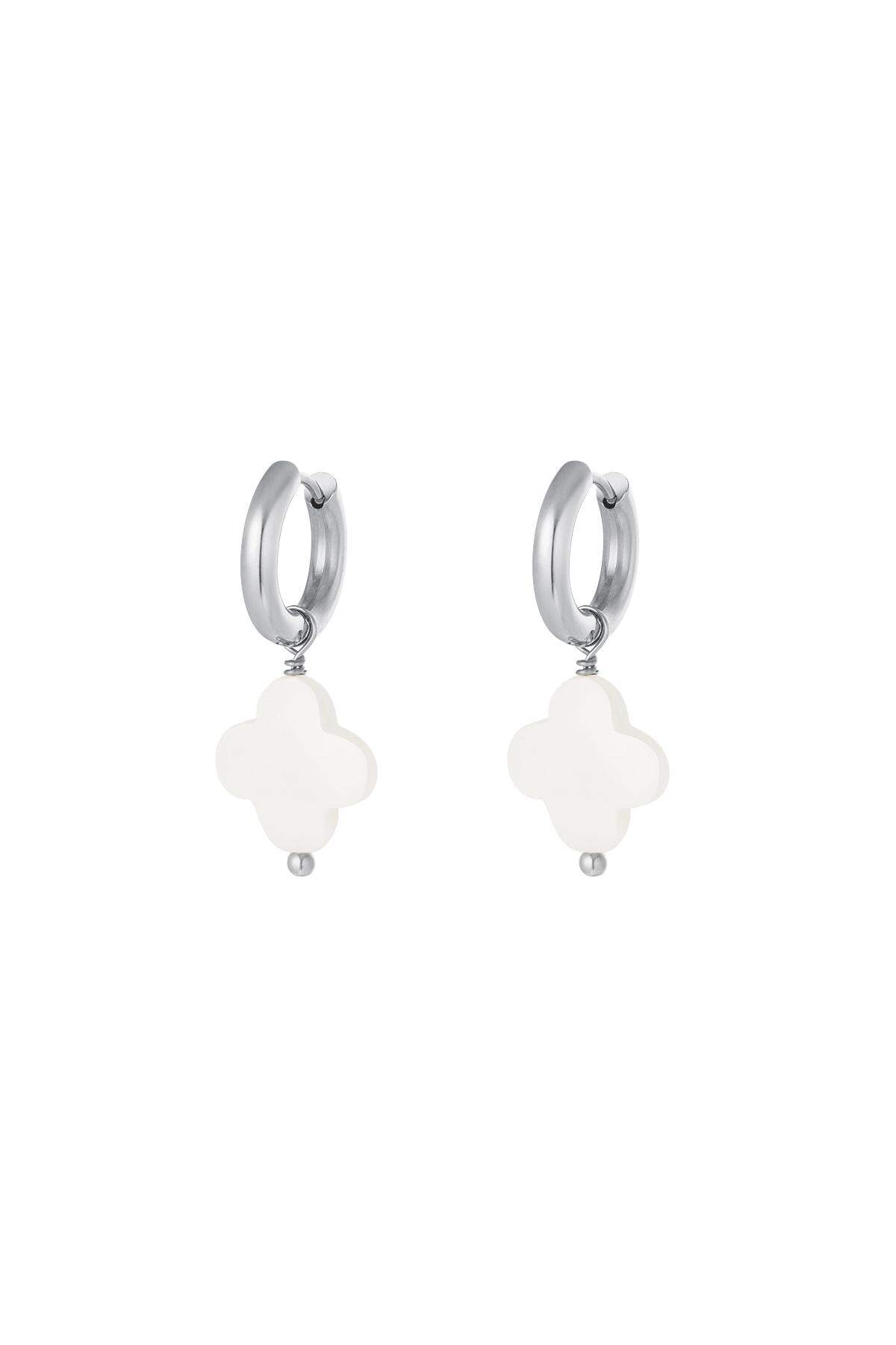 couleur argent Image2