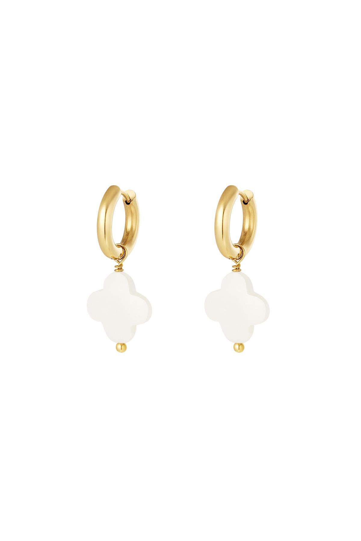 Boucles d'oreilles coquillage trèfle Acier inoxydable h5 