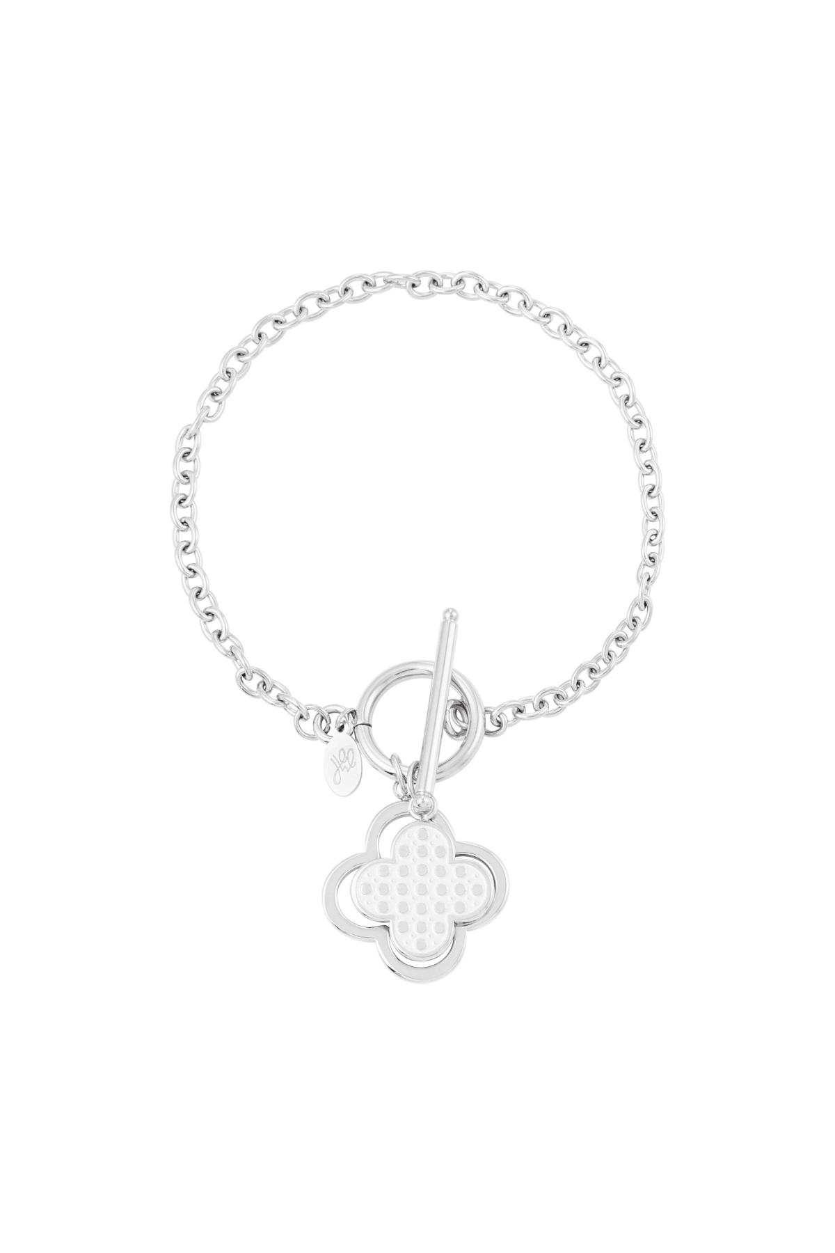 couleur argent Image2
