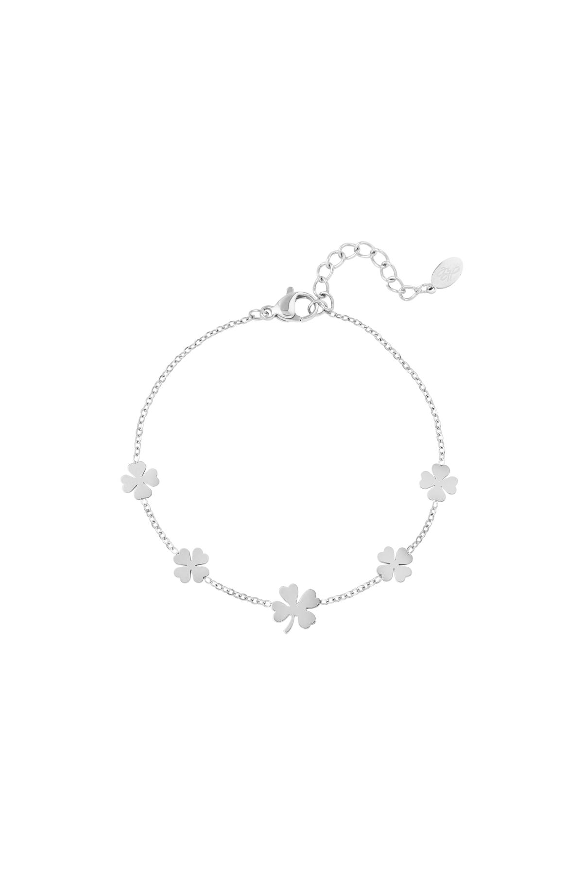 couleur argent Image2