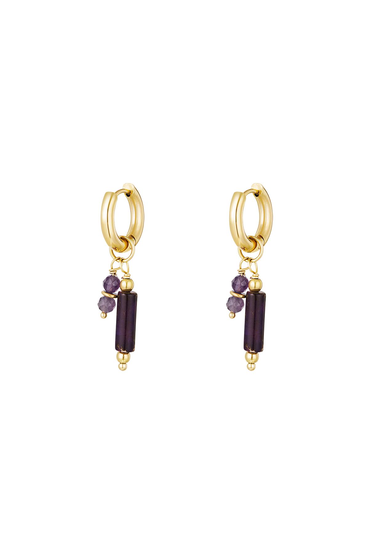 Earrings With Stone Charms Purple Stainless Steel