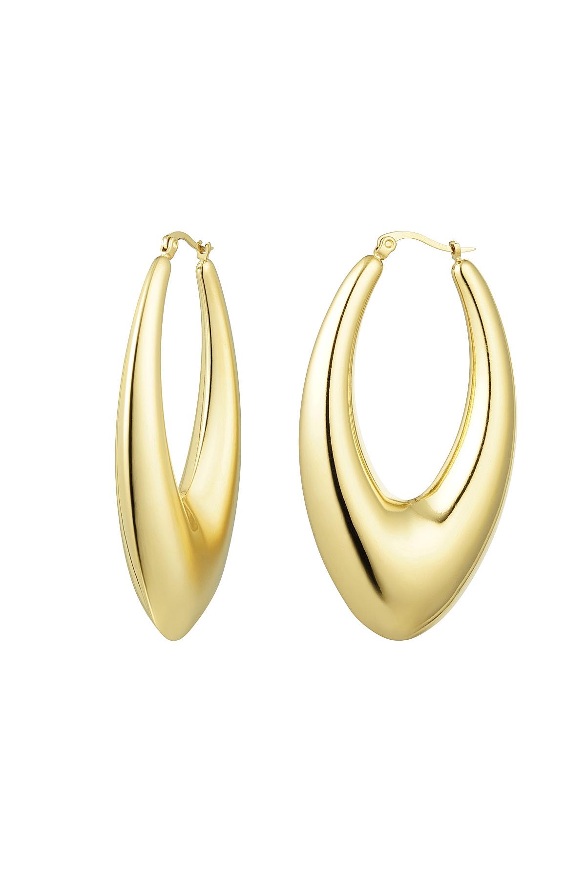 earrings stainless steel chic large 
