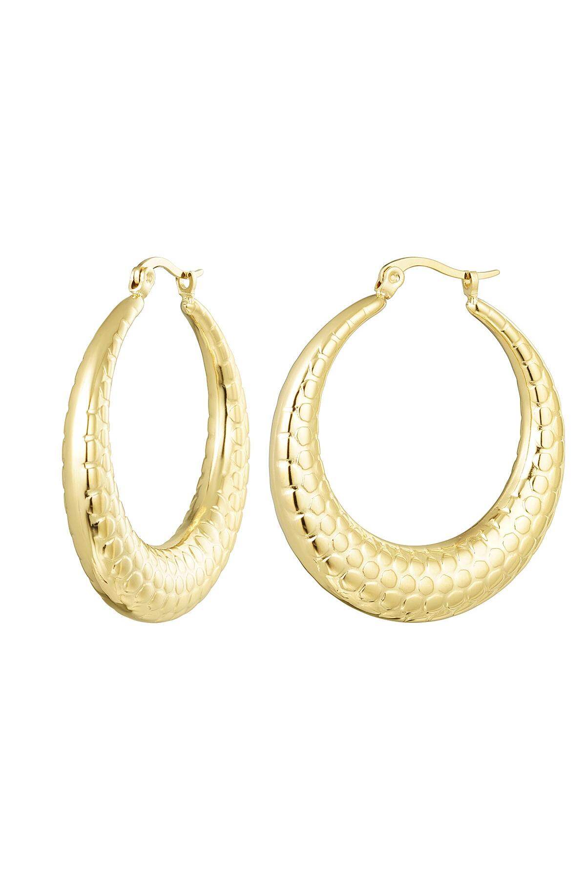 Orecchini stampa bolla grande Gold Stainless Steel 