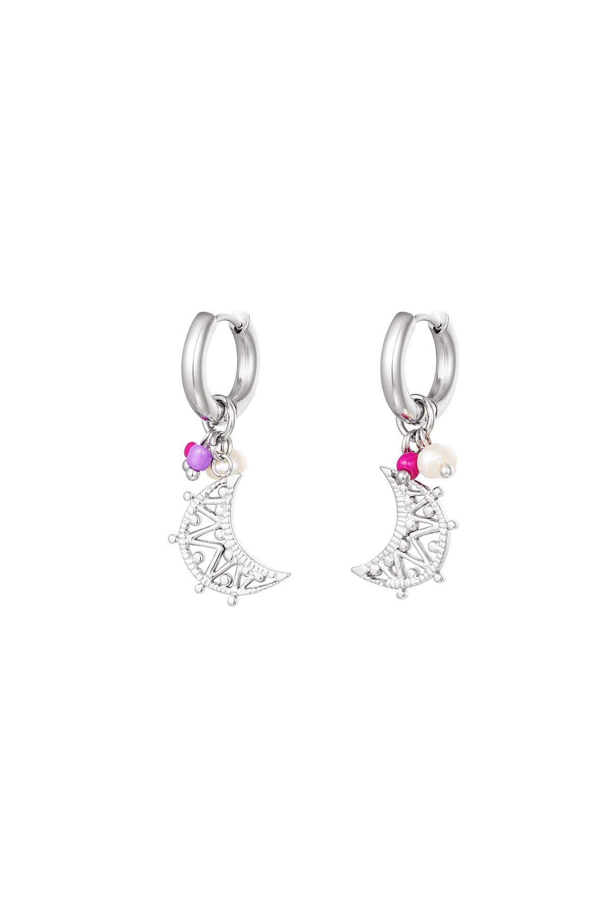 couleur argent Image2