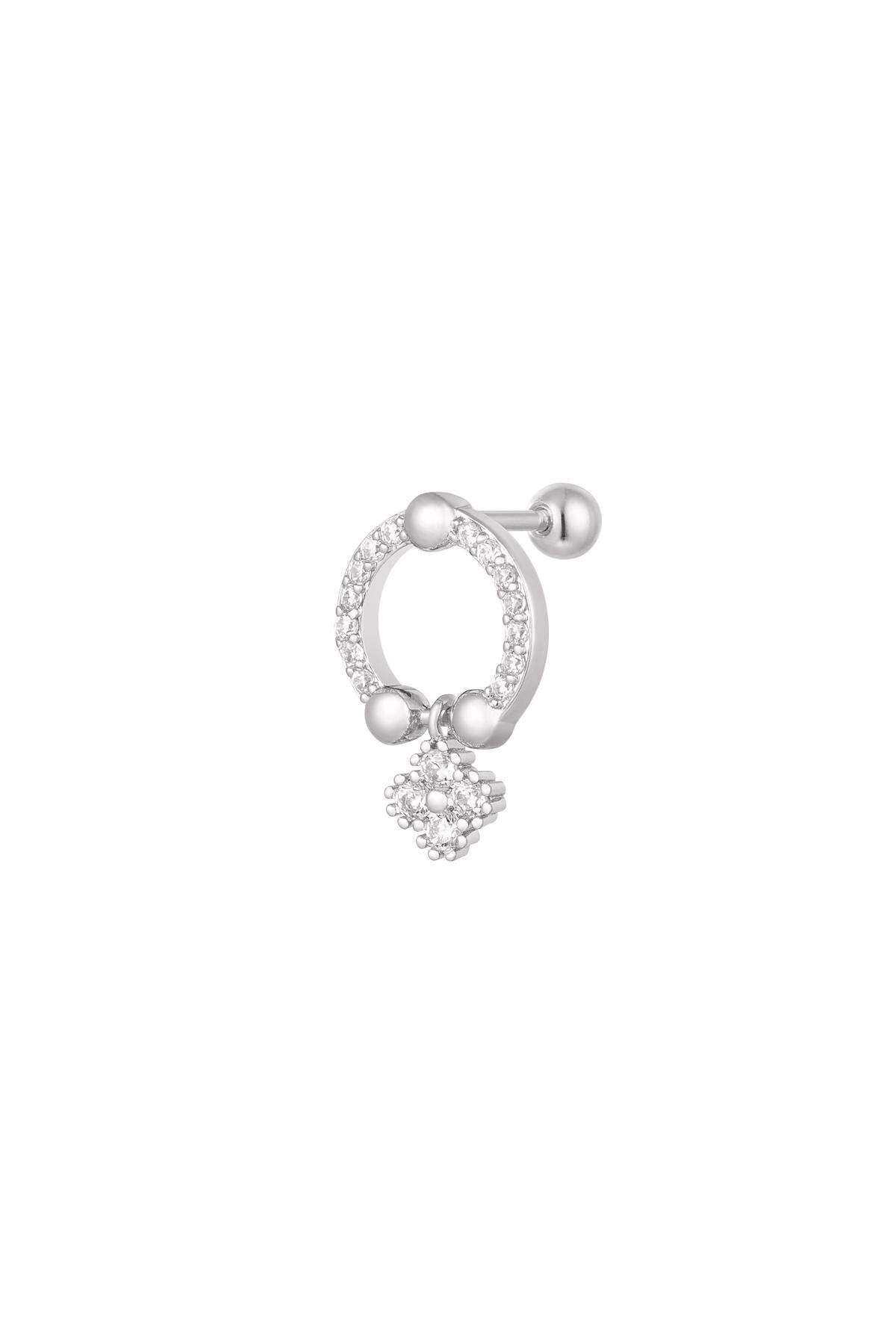 Silver Color Picture2