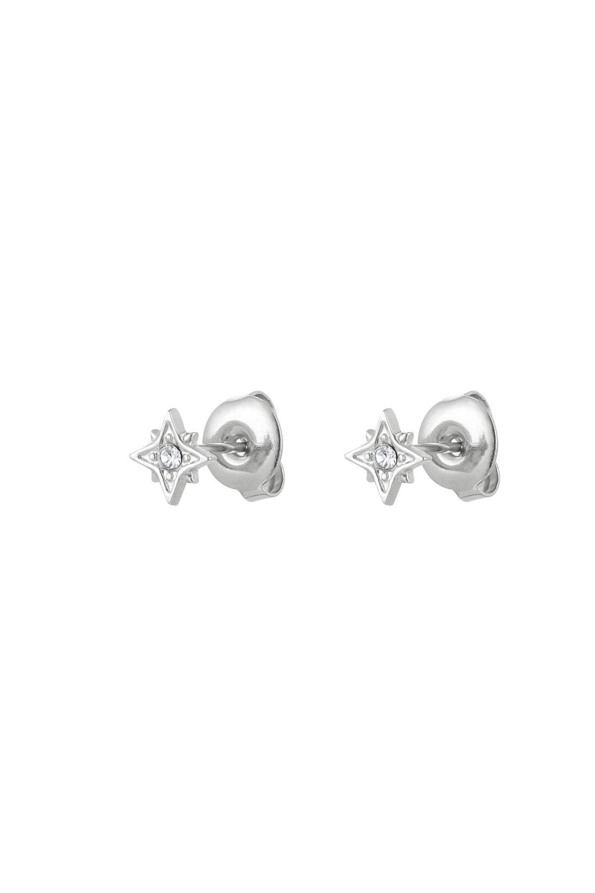 couleur argent Image2
