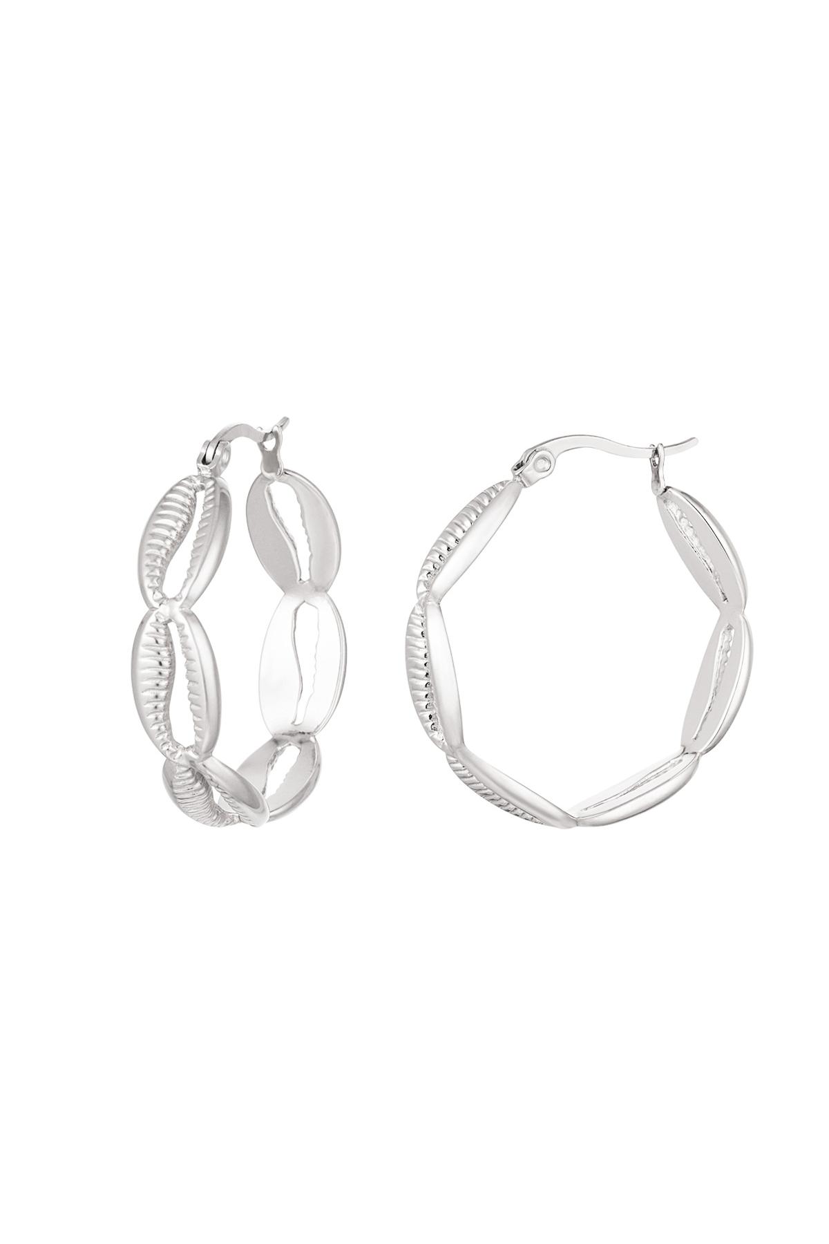 Silver Color Picture2