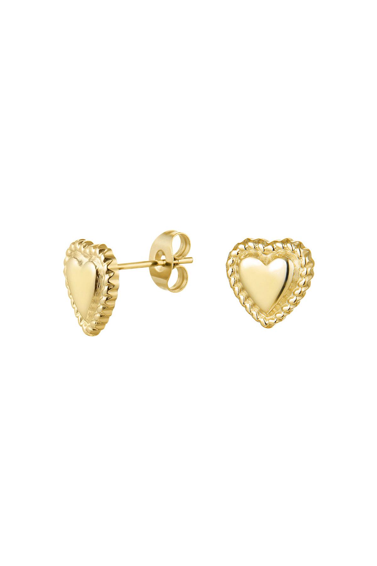 Cuore grazioso degli orecchini Gold Stainless Steel 2