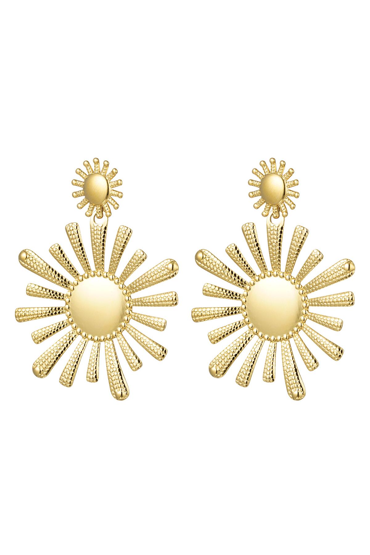 earrings stainless steel flowers  h5 