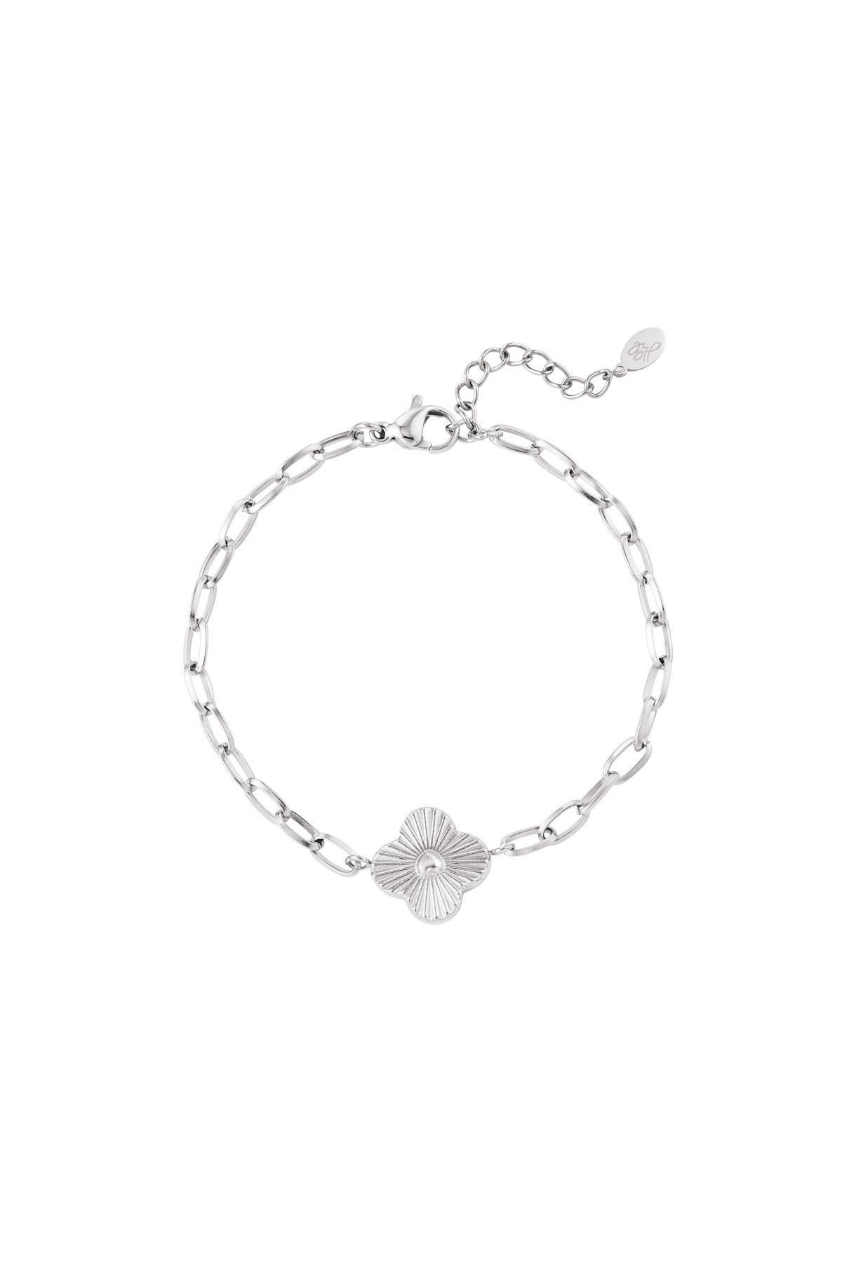 Silver Color Picture2