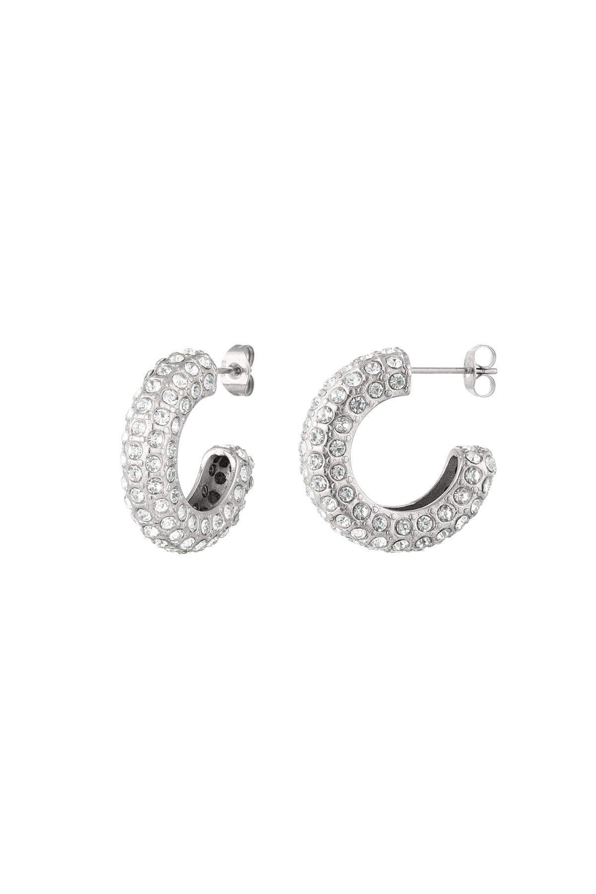 Orecchini in zircone Silver Color Stainless Steel 
