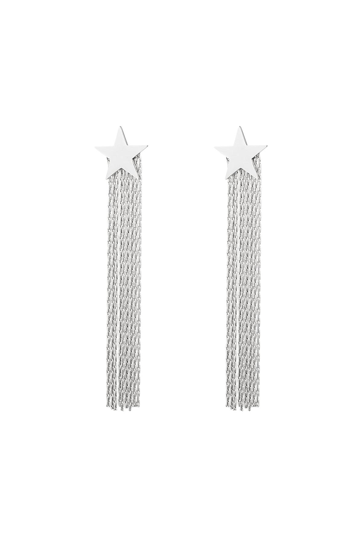 Statement oorbellen ster Zilver Stainless Steel h5 