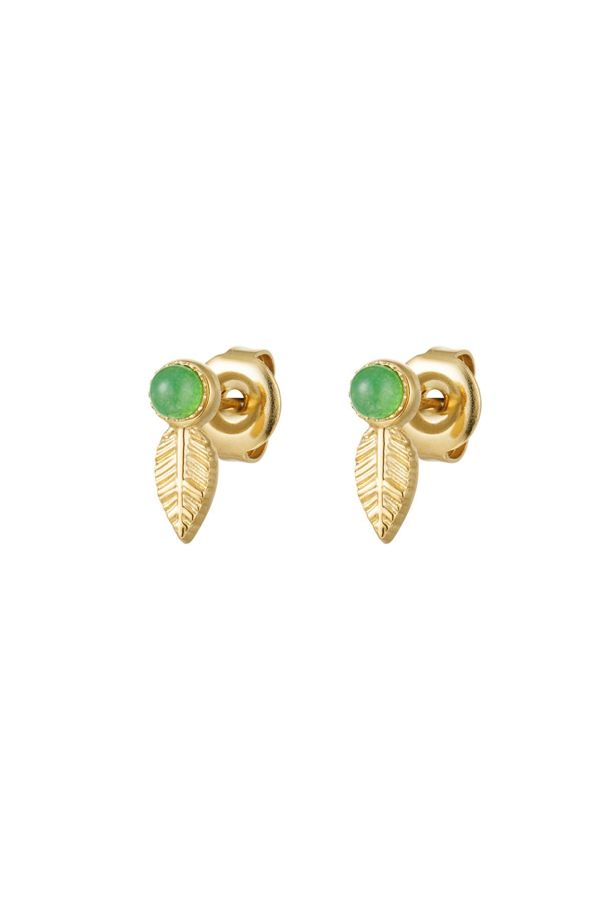 Verde Immagine2