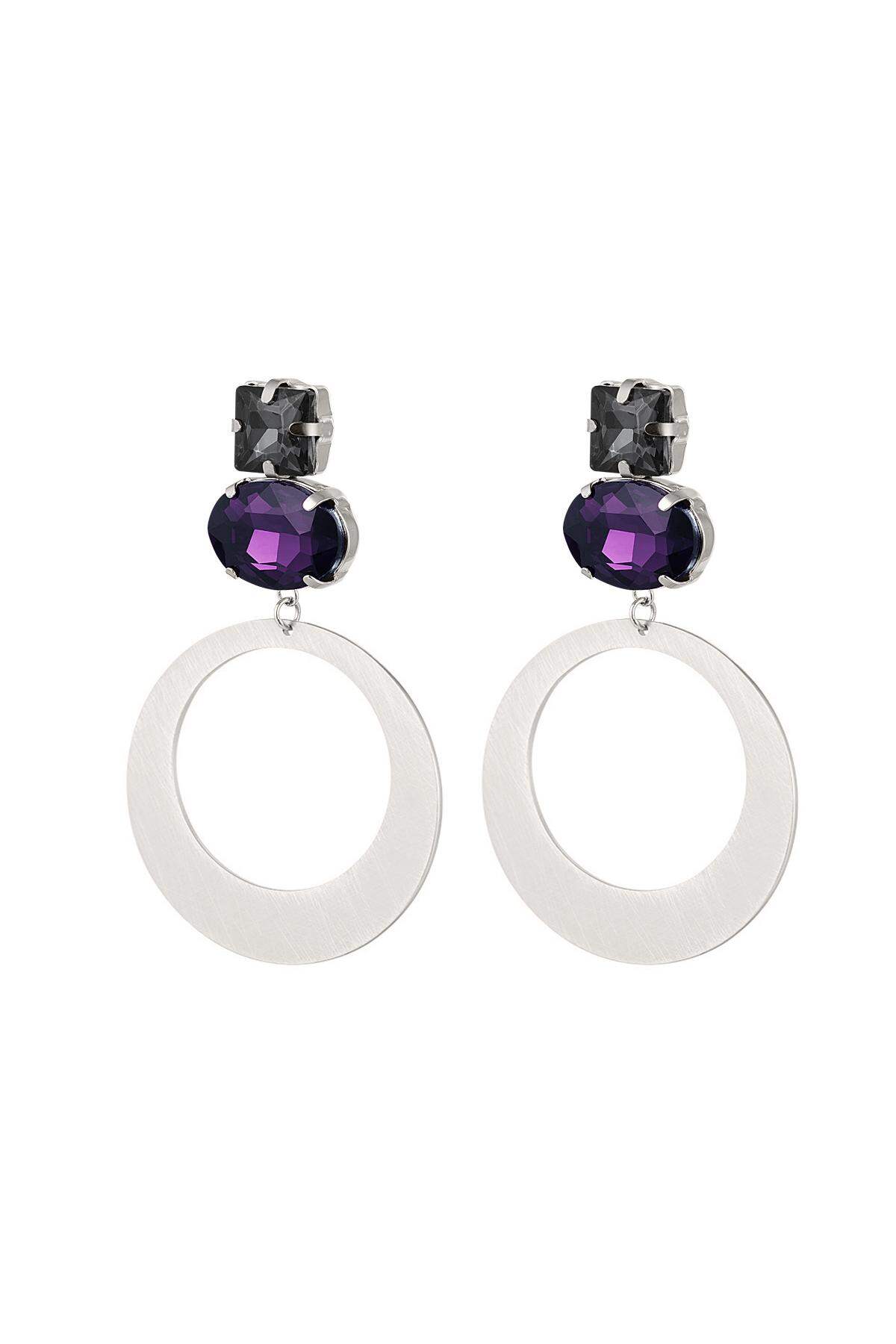 Orecchini rotondi con perle di vetro Silver Color Stainless Steel 2