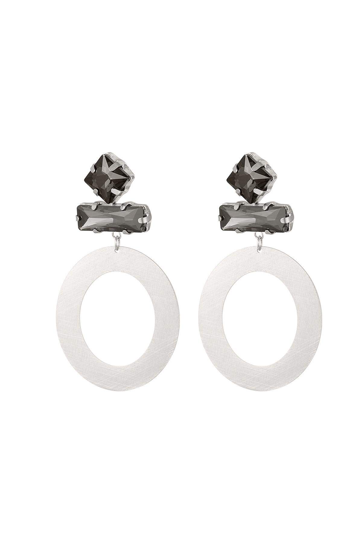 Orecchini rotondi con perle di vetro Grey & Silver Color Stainless Steel 2