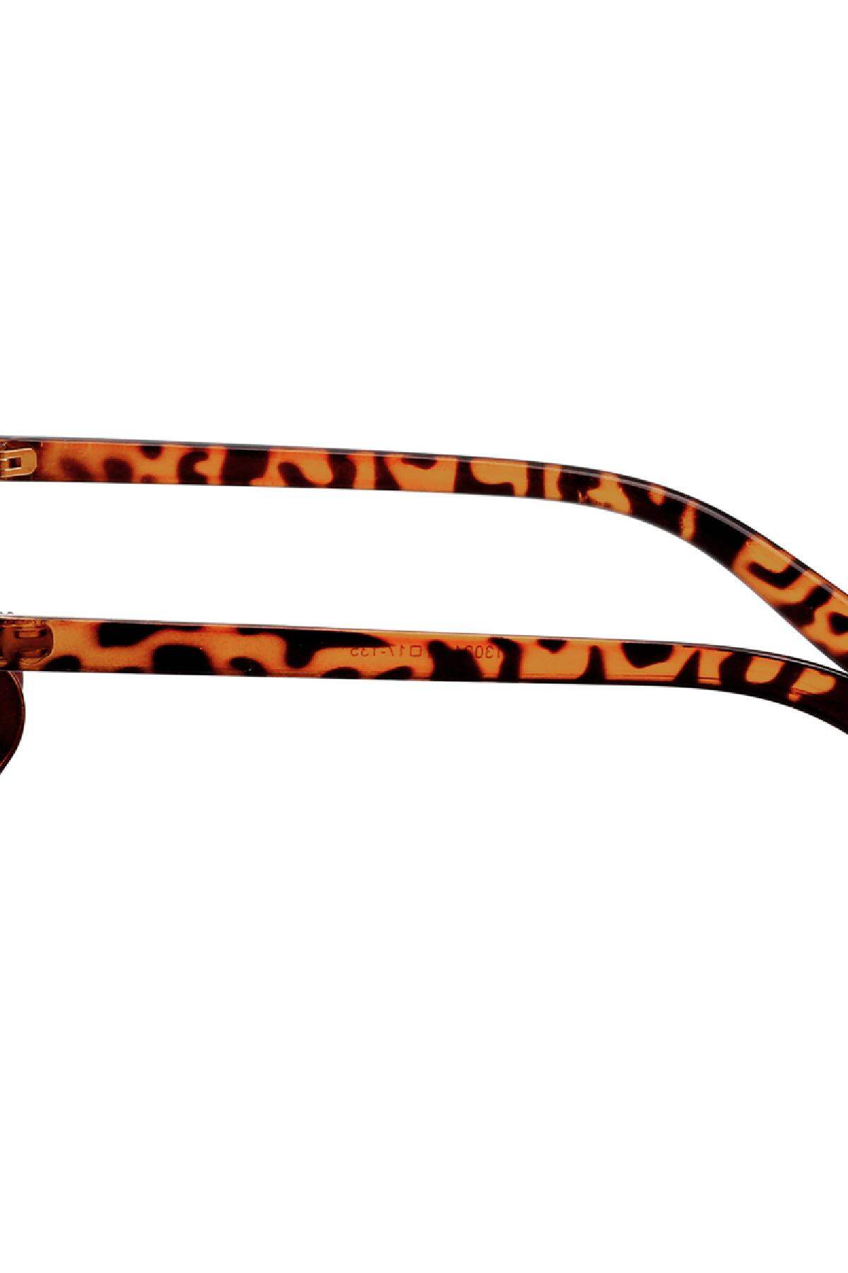 Des lunettes de soleil Cat Shades Marron Métal One size h5 Image4