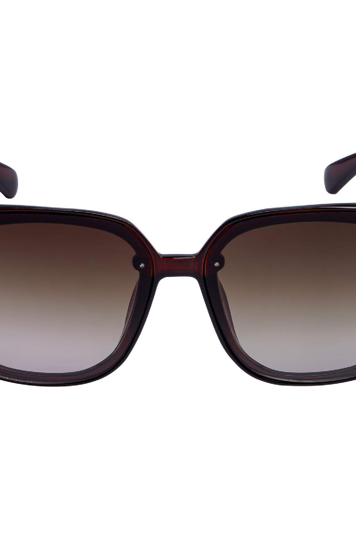 Braune Sonnenbrille mit großem Rahmen und dunkler Brille Kunststoff One size h5 Bild2