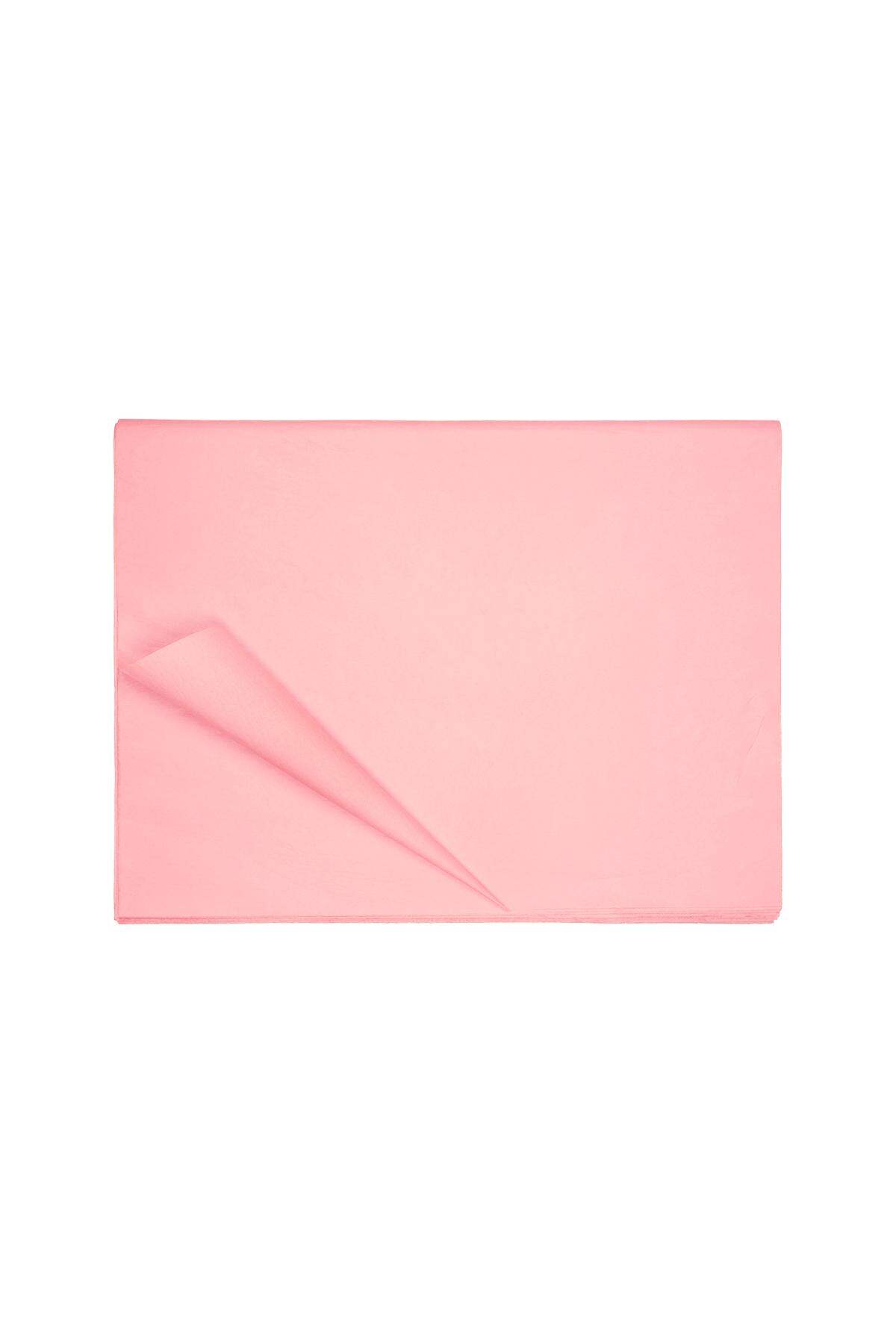 Rose bébé Image3