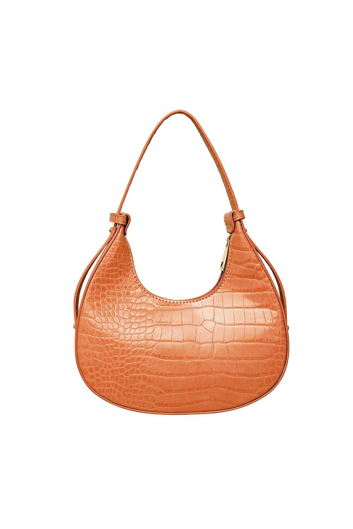Orange Picture2